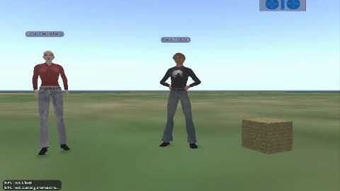 OpenSim server-side NPC Test