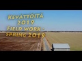 Field work - Spring 2019 || Kevättöitä 2019