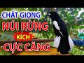 chích chòe than hót réo kích bổi ức chế hót đấu lại. choe than hot giong rung #luyengiongchoethan