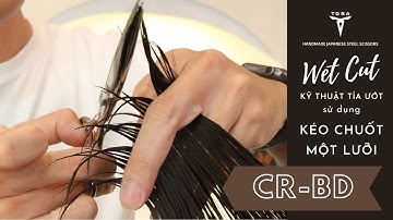Hướng Dẫn Tỉa Ướt Bằng Kéo Chuốt Với Cris Nguyen