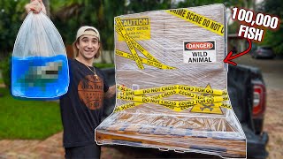 ORDERING 100,000 LIVE FISH PALLET OFF THE WEB...