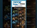 SAP project types for consultants roles. #job #sapclasses #sap