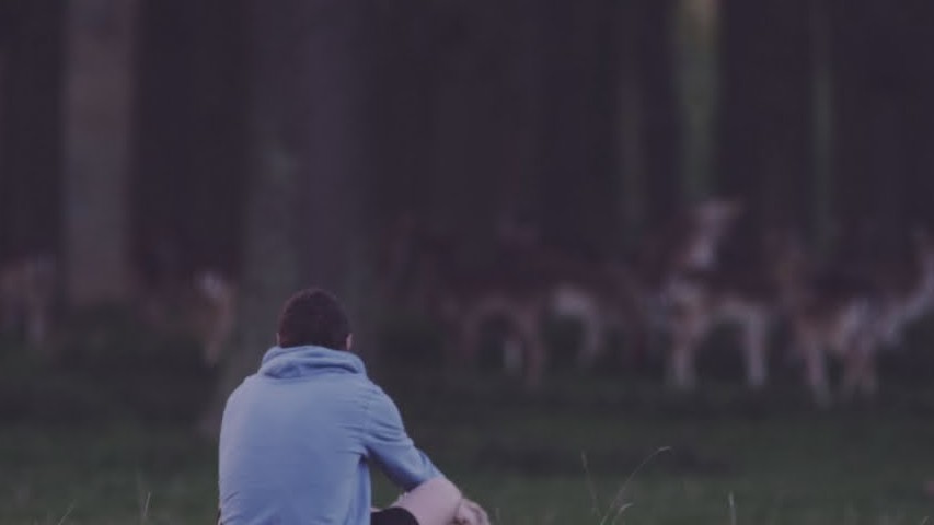 The time i look an expensive text. All i want to be. All i want to be. All i want is you обложка. Kodaline all i want.