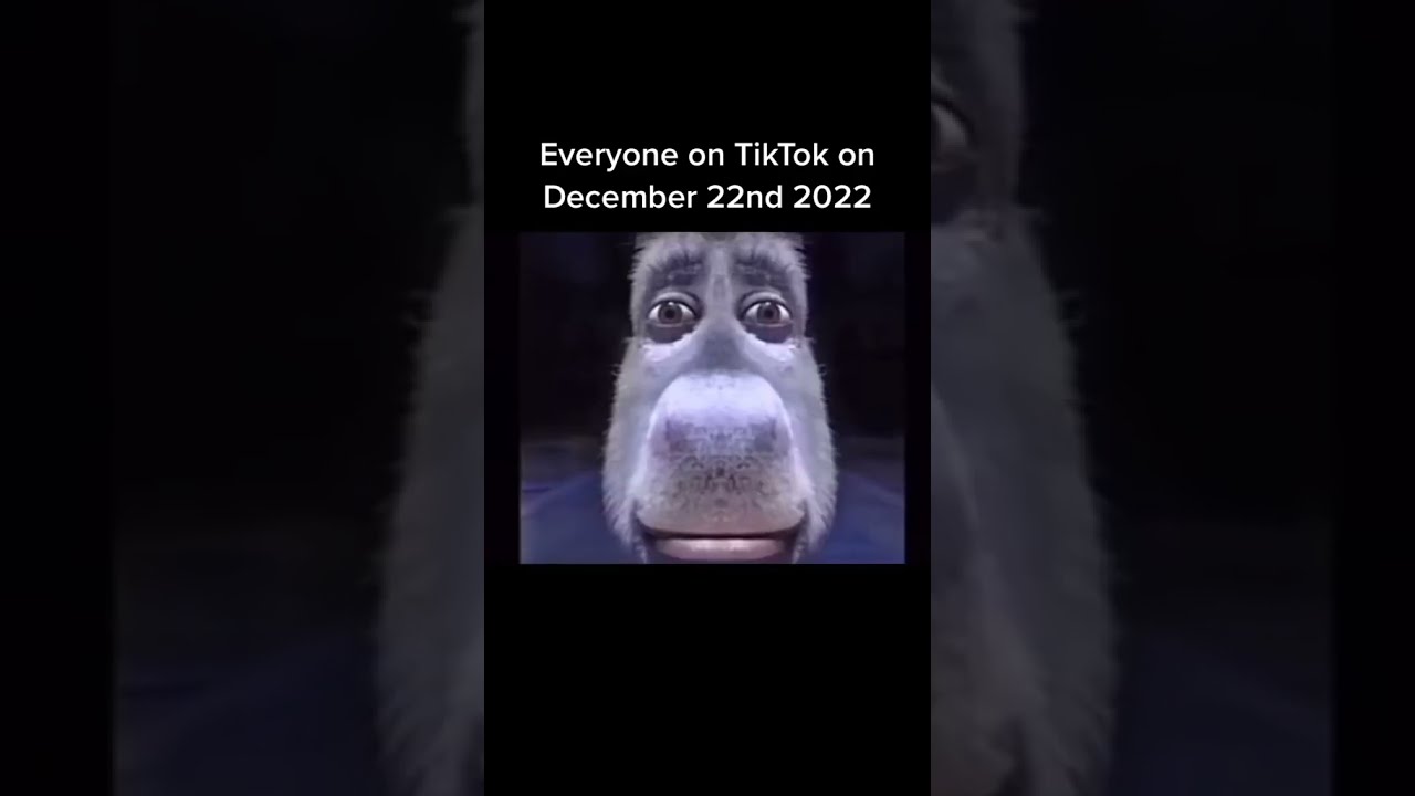 The Tiktok December 22nd Incident YouTube The Tiktok December 22nd Incident YouTube
