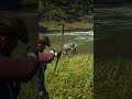 Mastering Survival Skill in Red Dead Redemption 2 #rdr2 #survivaltips #gamingshorts #gaming #shorts