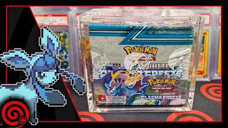 NEW PLASMA FREEZE BOX BREAK - PIKACHU GENGAR AND TYRANITAR MOVING FAST! - LIVE CARD SHOP