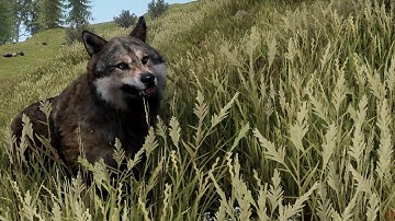 Rust 6/3/2021 Update Summary