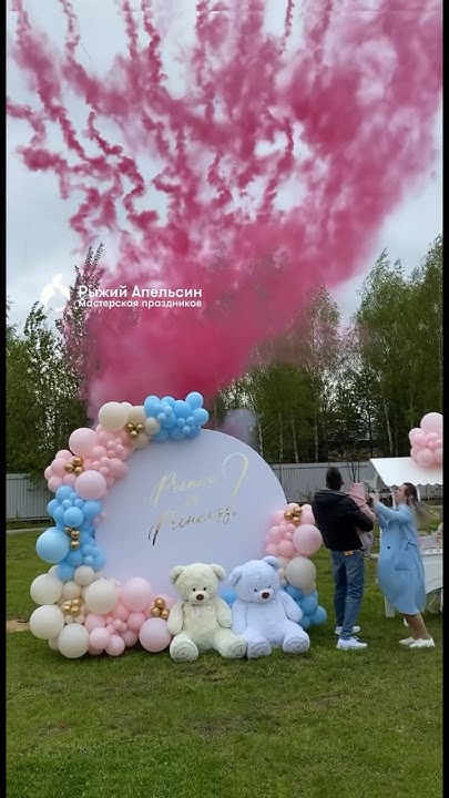 Организация гендер пати в Москве. Дым, фотозона и др. Gender party под ...