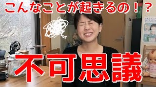 こんなことが起きるの？！不思議すぎる出来事