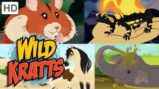 Wild Kratts 🐘🐹 New Creature Adventures! (Part 2) 🐎🦎 | Kids Videos Profile