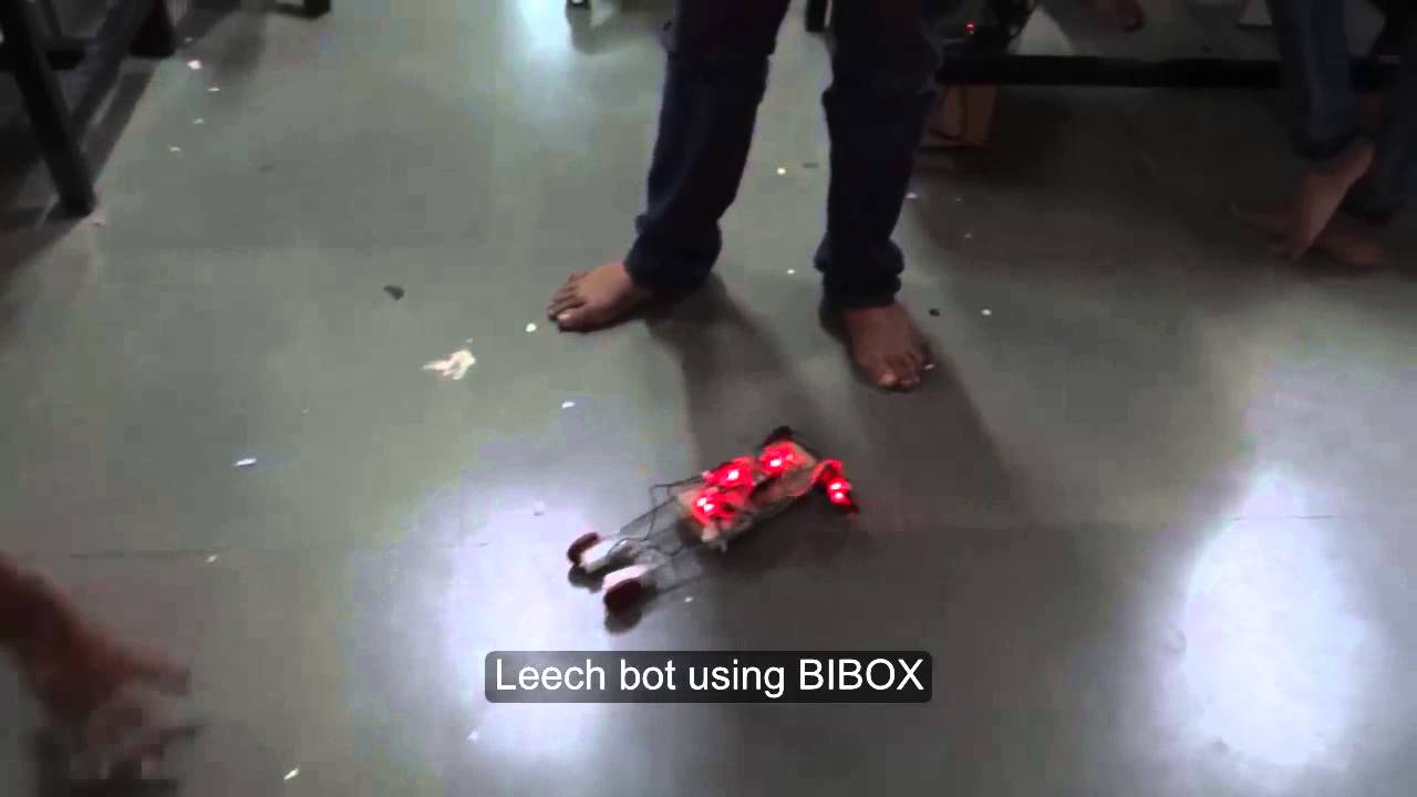 Leech bot using BIBOX