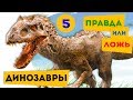 Тесты для детей Правда или ложь | 5 | Динозавры | Познаватель кот Семен Ученый