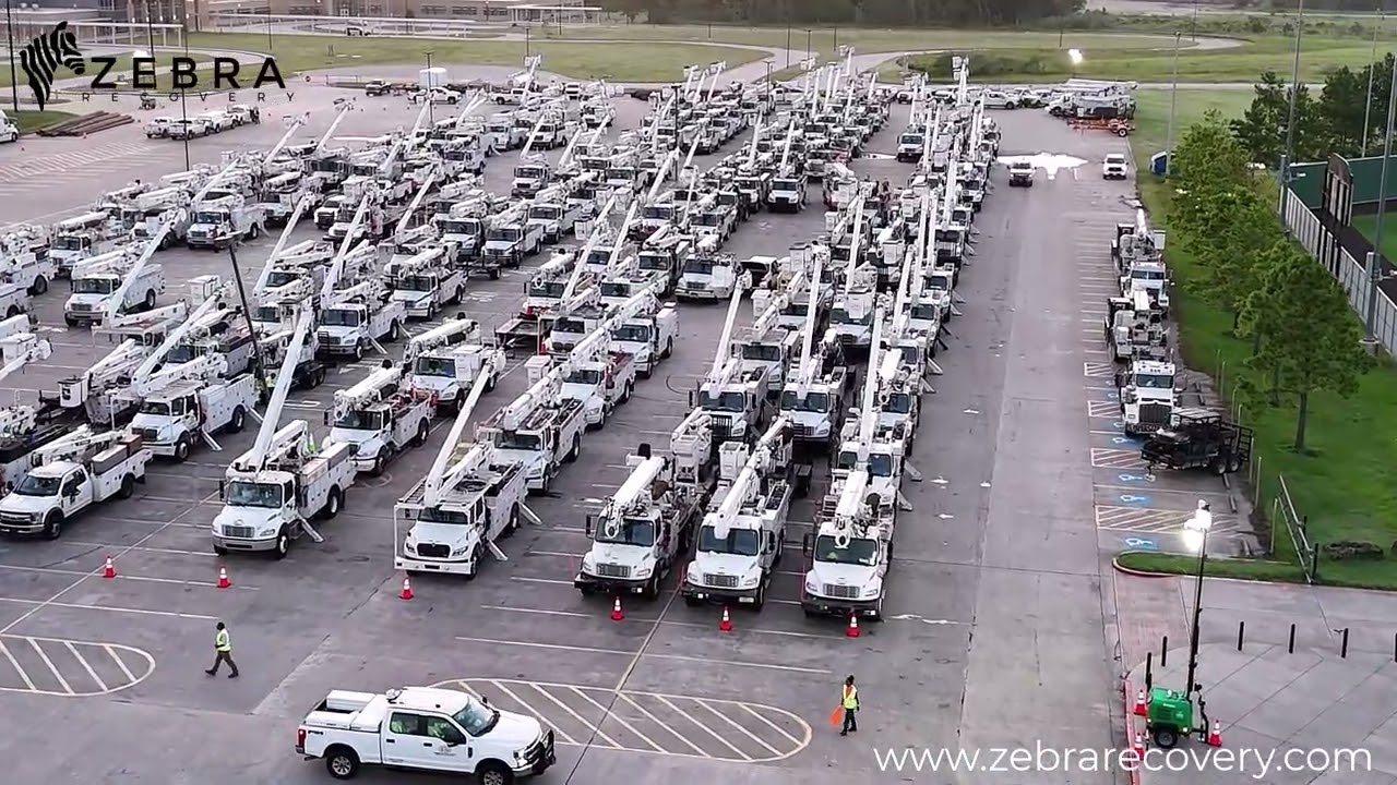 Zebra Recovery - Humble, Texas - Hurricane Beryl