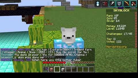 playing on hera skyblock on herobrine.org server :)