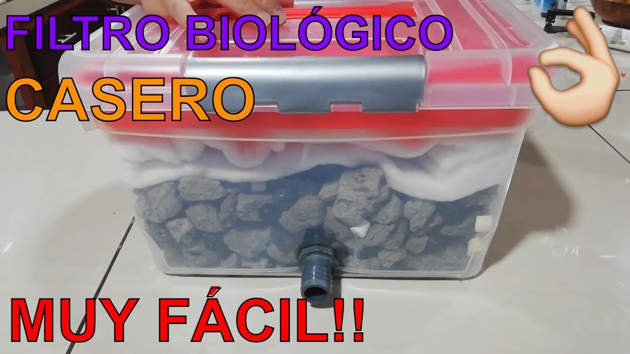 loco márketing motivo COMO HACER UN FILTRO biológico Casero para peces 🐠🐟 | estanque koi -  YouTube