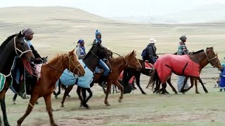 Lesothos Mountain Jockeys Race In The Mist