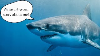 Microfiction Challenge: Write 10 Stories About Sharks!