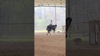 Theres No Better Sound For Shaq シ