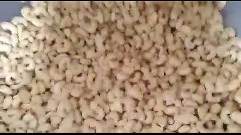 Cashew Nuts Processing / Vietnam  - Danest