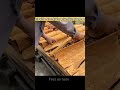 Cinnamon making process 😮