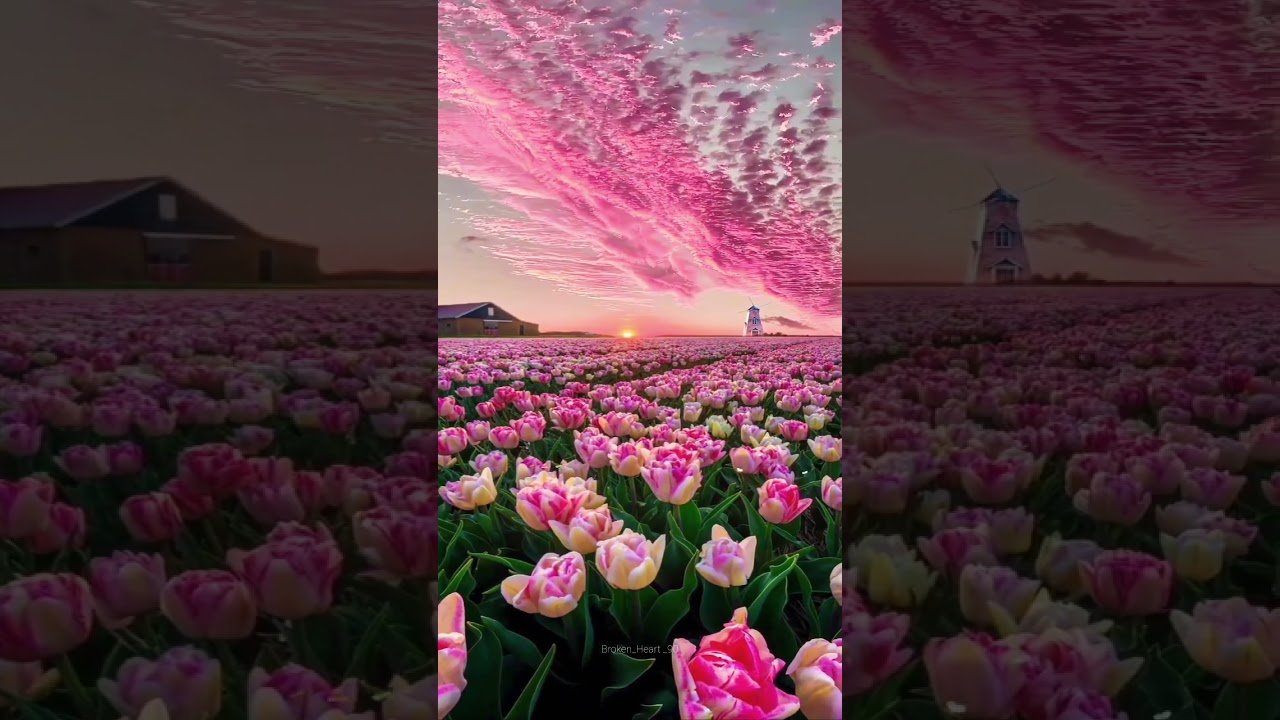 ( CGI 4k Stock Footage ) Dusk Sunset Clouds 5 - Time Lapse Seamless Loop 