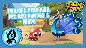 Twilight Peacocks, Pet Red Pandas & More! | Animal Jam