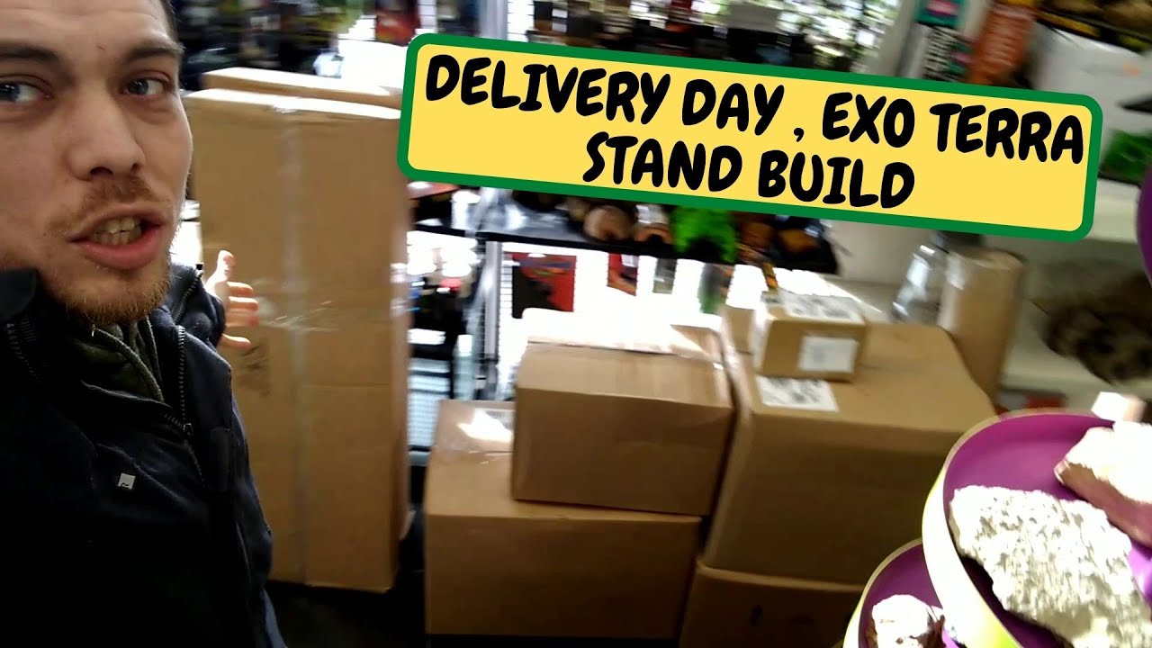 Delivery Day, Exo Terra Stand Build (Snake Island Exotics) YouTube