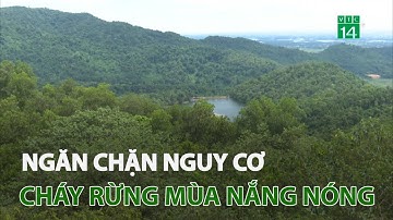 Ngăn chặn nguy cơ cháy rừng mùa nắng nóng | VTC14