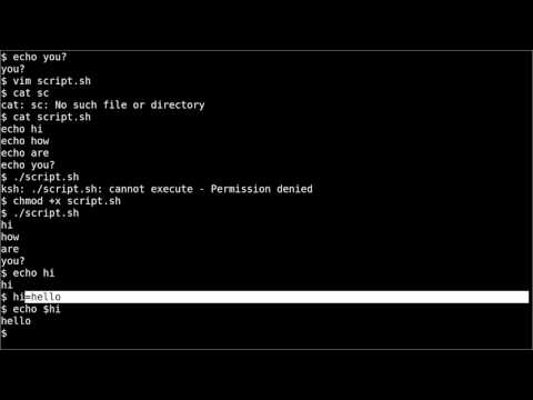 Concise Scripts and Environment Variables