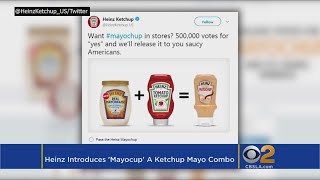 Disgusting Or Delicious? Heinz Wants To Make A Thing