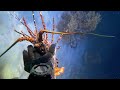 Diving for Lobsters, Sea Cucumbers, and Fish – Night Ocean Adventure Seafood Harvest Vlog October 24