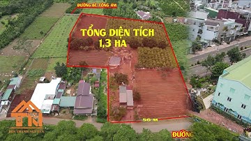 Đất damri bảo lộc. 1,3 ha giá siêu rẻ
