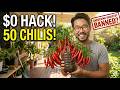 Grow 50 Chili Peppers in a Trash Bottle. NASA Used This Trick. Big Gardening BURIED It