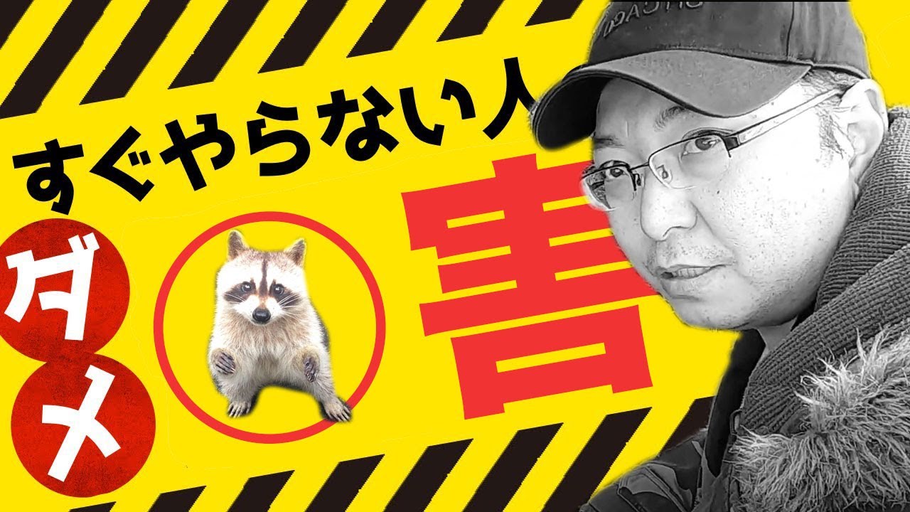 即改善 アライグマ駆除を反対する 一生何もできない人 のダメ習慣 Youtube