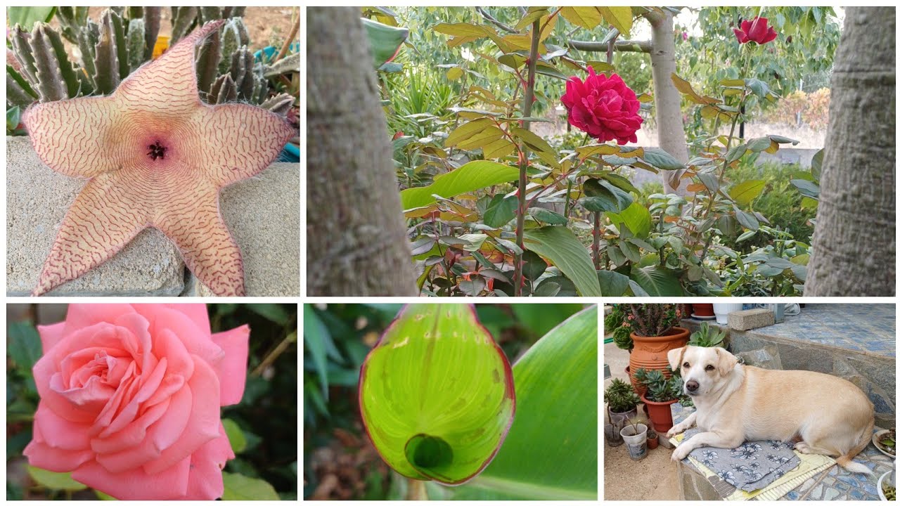 Олины Истории 🏜 Влог #283