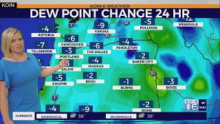 WEATHER FORECAST: Sunshine stays for a few days. Super chilly mornings ahead.