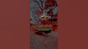 سورة النحل بصوت الشيخ خالد الجليل 😴🎧