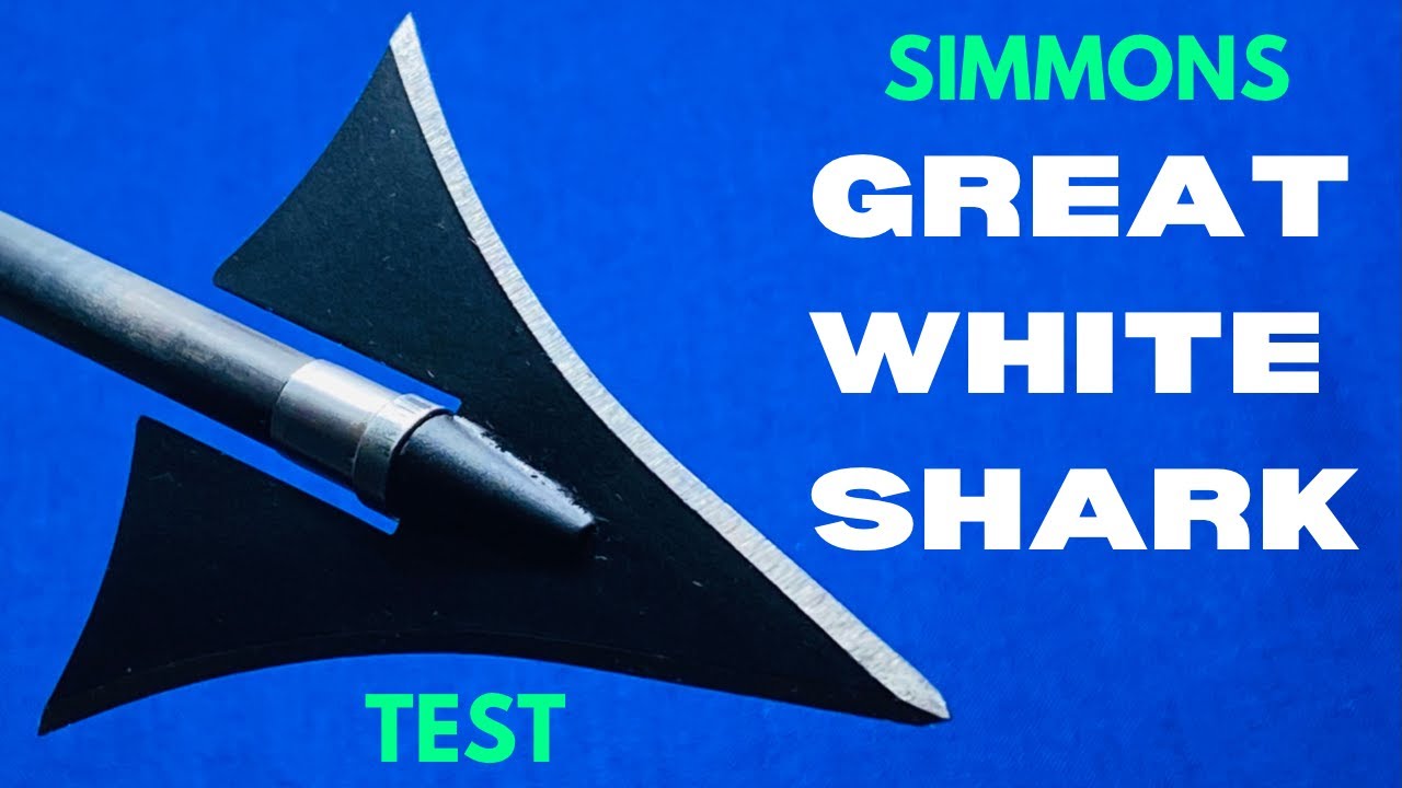 MASSIVE Fixed Blade SIMMONS GREAT WHITE SHARK Broadhead Test YouTube