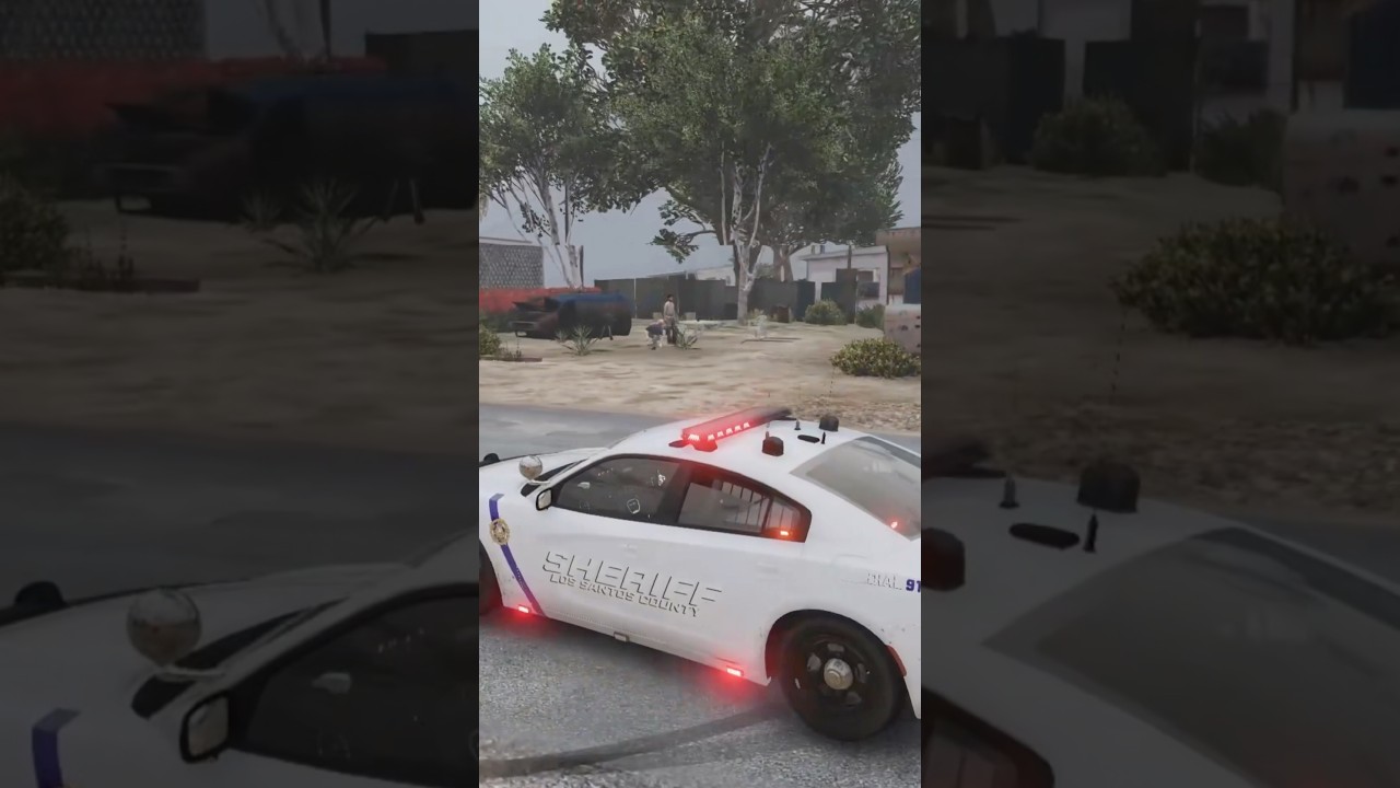 Подозреваемый в ограблении 