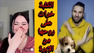 حمزة الشلفي يحكي على #كلبته_والبيطري دارلها الإبرة وهي جيعانة #خرات_على_روحها🤣May 2, 2024