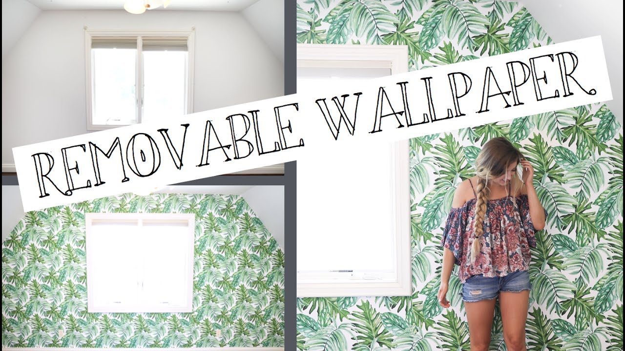 Green Leaf Wallpaper Peel and Stick Tropical Wallpaper Stick and Peel  Jungle Wallpaper Self Adhesive Removable Wallpaper Green Contact Paper  Rainforest Palm Leaves Wall Covering Vinyl Film 177 118  Amazonin  Home Improvement