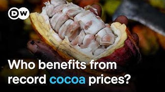 Thumbnail for Why cocoa farmers don't profit from record prices for chocolate | DW News