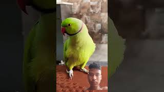 Httpsyoutubecomshortsuj3c380zad4sitj1bydnmcw5x6