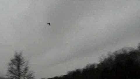 BRUSHLESS ZAGI X HIGH SPEED RC FLYING WING