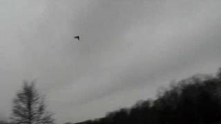 BRUSHLESS ZAGI X HIGH SPEED RC FLYING WING