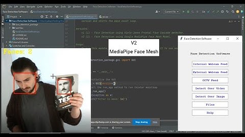 Demo: Google MediaPipe Face Mesh Model in Custom Face Detection Software (Version 2)
