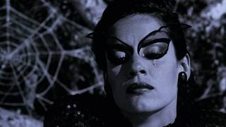 Kiss of the Spider Woman | Main Theme