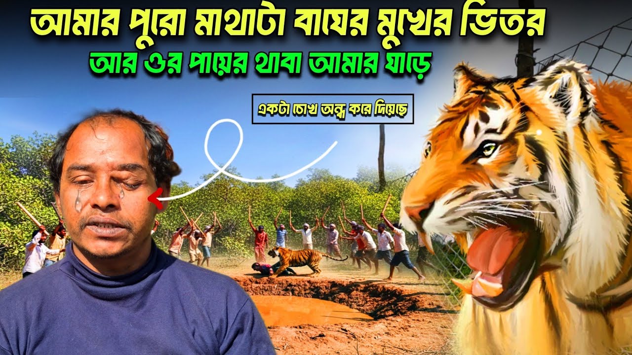 মইপিট সুন্দরবনে বনকর্মীর ওপর বাঘের আক্রমণ//tiger attack in sundarban 2026//moipith sundarban