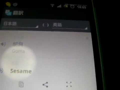 google翻訳がおかしい