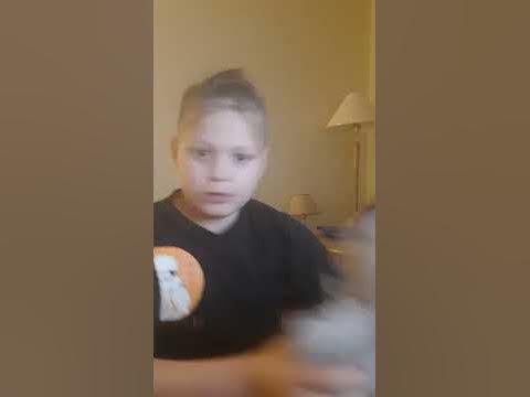 заяц убийца - YouTube